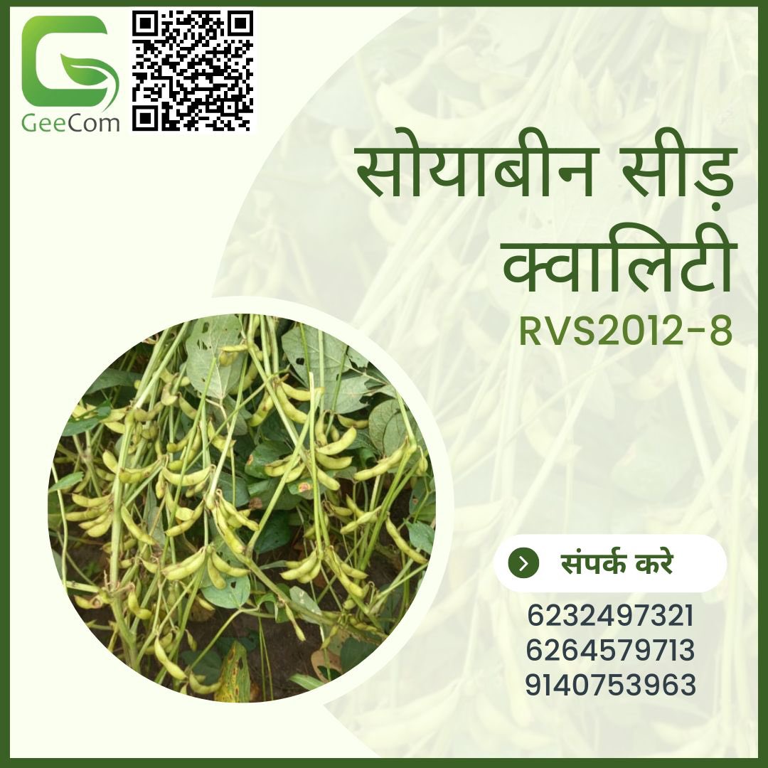 GeecomIndia's tweet photo. प्रोटीन युक्त सोयाबीन, वो भी उच् क्वॉलिटी के केवल जीकॉम इंडिया पर।
#winenight #goodnight #foodie #foodgasm #foodpic #foodlover #foodblogger #eattalk #ad #surfnoturf #AsianFood #AsianFoodPorn #AsianFoodLover #AsianFoodPhotography #AsianFoodie #AsianFoodLovers #AsianFoodChannel https://t.co/pqUG3yPQaz
