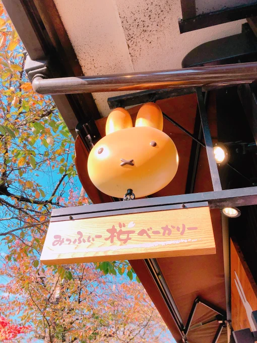 桜べーかりーのほうは入場規制がかかっていて並んで30分くらい待ったかも?イートインスペースに並ぶ感じ(イートインできそうもない)倉敷店よりもメニュー豊富です。 