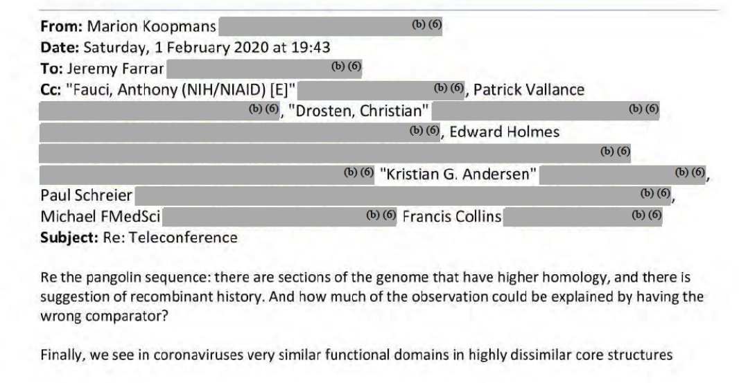 mona-on-twitter-marion-koopmans-commenting-on-the-pangolin-sequence