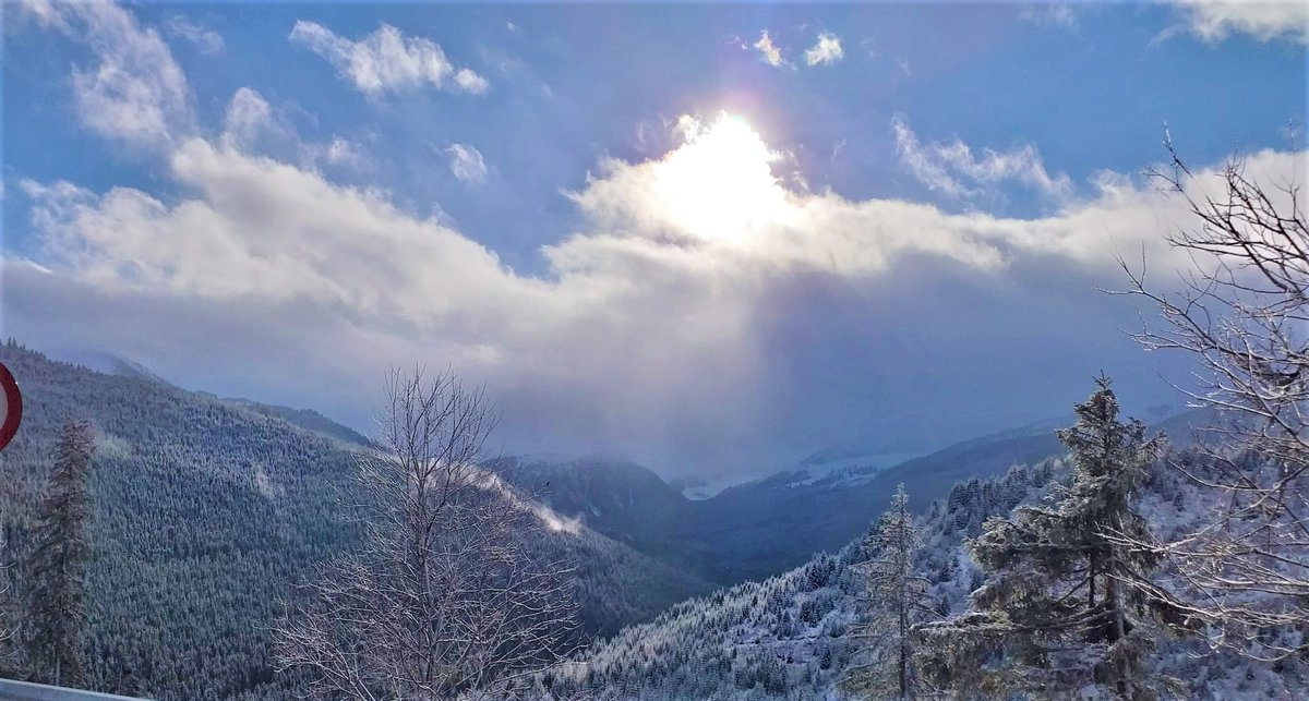 RNP_Romsilva's tweet photo. Ne pândește iarna pe la uși...Pregătiți mânușile și fularele🤗Poze recente din📷Pasul Prislop și Pasul Rotunda 💝🌲❄️din Parcul National Muntii Rodnei 
#winteriscoming #Rodna #Romania #NaturePhotography https://t.co/XyR12it0TG
