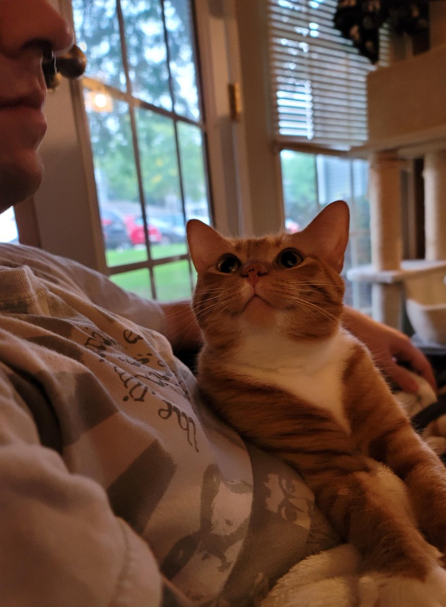 Your Daily Dose Of Cuteness (@dailycutepic) on Twitter photo 