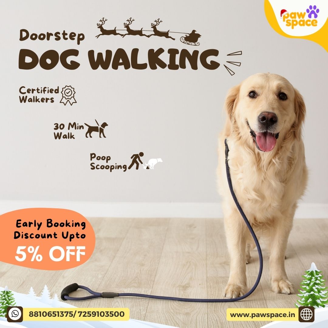 Pawspaceindia's tweet photo. Grab the Opportunity to avail Upto 5% Off as a Early Booking Offer on Dog Walking services from PawSpace.
You do the booking, we'll do the walking
with professional dog walkers at your doorstep
All our walkers are Pet enthusiasts,
DM us or visit us on https://t.co/QxNtPlMRI9 https://t.co/aq73DUtd4M