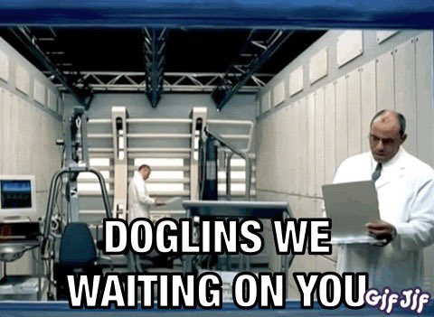 MrJCheetah's tweet photo. It’s @doglinsofficial dayyyyy

Imma party hard with my main dog @DoglinsVIP Bruce! 

#nft https://t.co/L7vxDVbunE