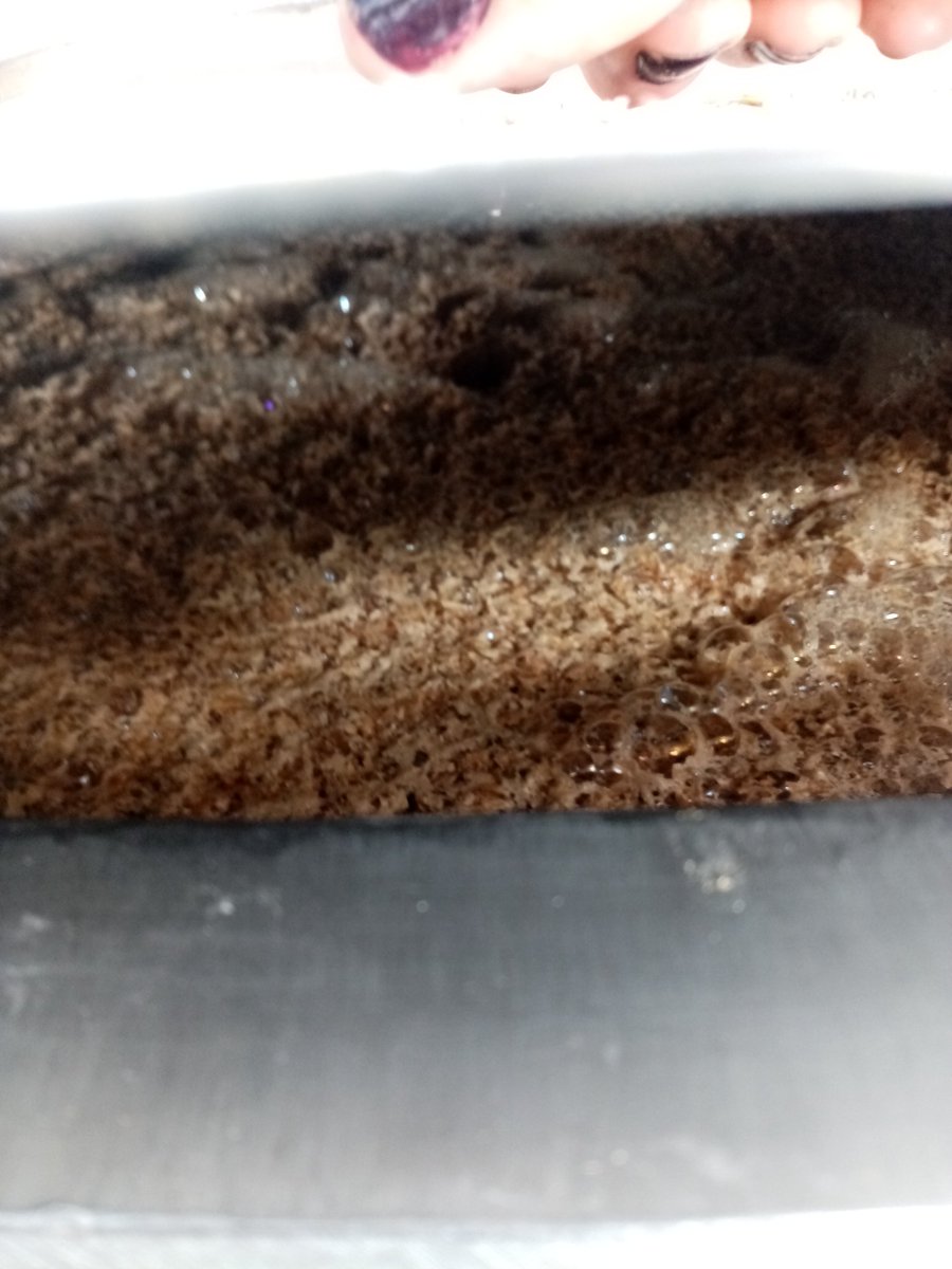 Three Hills Brewing tweet media