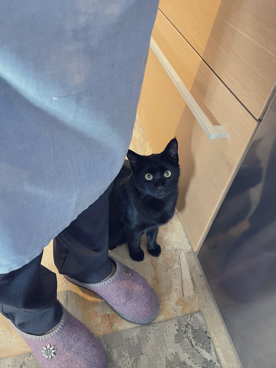 Un caro saluto a <a href="/FuryBionda/">Furybionda ☭ 🇵🇸🔻</a> e <a href="/trattomale/">TrattoMale 🇵🇸🗣</a> ♥️