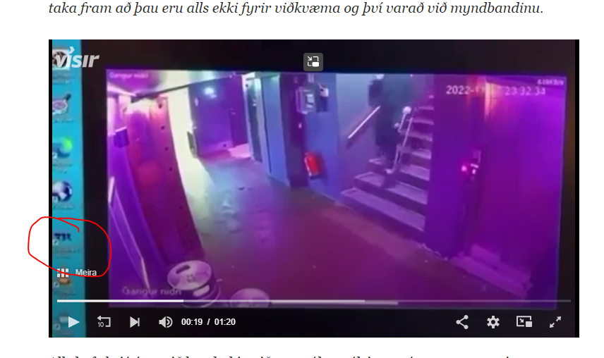 Dúddinn sem lak þessu vídjói er bara með aðgang að tekjubókhaldi ríkisins, upplýsingum um skuldastöðu og gjaldasögu allra kennitalna á Íslandi. Og svo eigum við að treysta þessum sama dúdda fyrir forvirkum rannsóknarheimildum án eftirlits. Já einmitt.