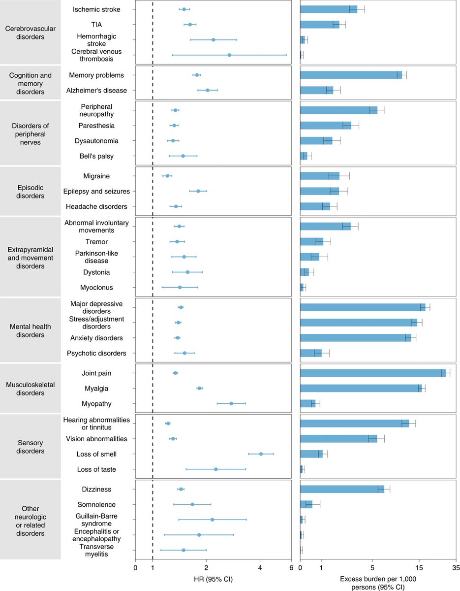 🦠#LongCOVID Síntomas neurológicos después de 12 meses de haber tenido #COVID 

nature.com/articles/s4159…