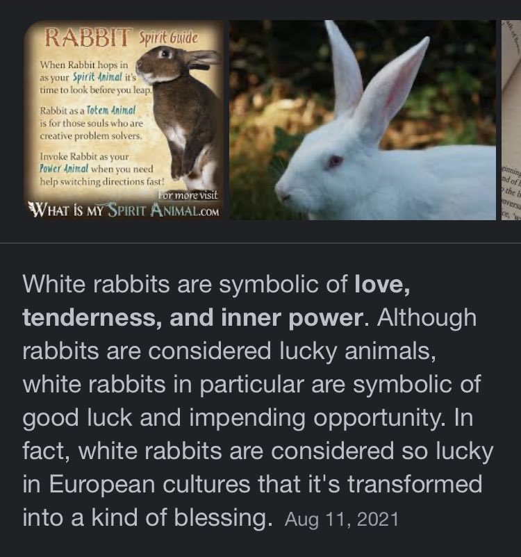 H3lls_Ang3l_'s tweet photo. @alexiskrugerr @StormEllimac i’ve also seen mentions of symbol of anxiety, and overall innocence, but at this point there’s too many meanings to choose one https://t.co/3oINuRon8D