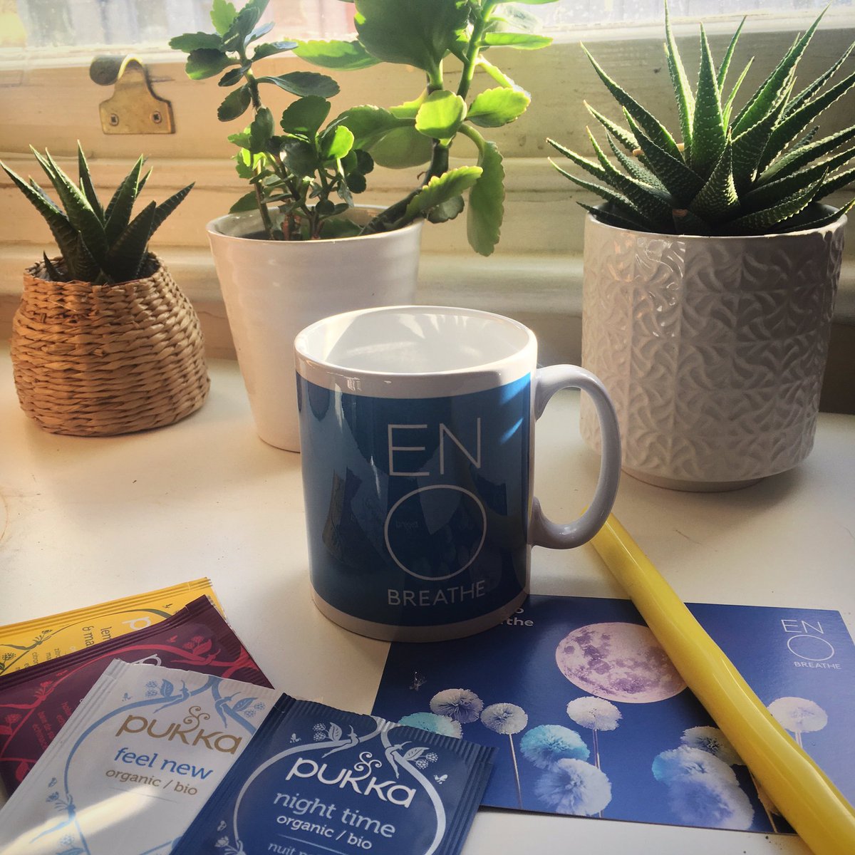 ink_doodles's tweet photo. Surprise gifts from the ENO Breathe programme I just got accepted into. Its a programme to help me manage my shortness of breath due to Long Covid. https://t.co/prLVeYAx0a