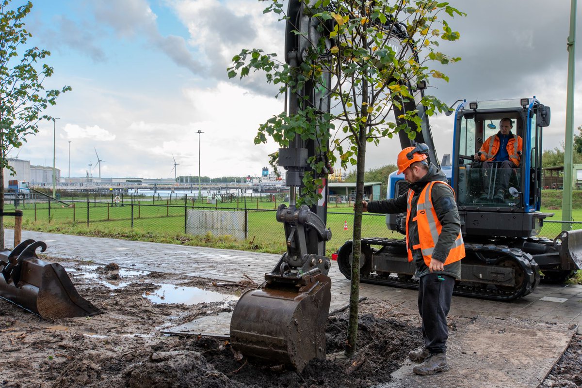HavenRotterdam's tweet photo. Work in progress in Rozenburg. Daar knappen we het Hoefijzer, de groene zone rondom Rozenburg, op. Bomen en een bollenstrook zijn aangeplant.
Deze bollen bevorderen de biodiversiteit en verfraaien de entree van Rozenburg. Meer weten? 👉 https://t.co/mnrdCpZ8F6 📷 @idverdeNL https://t.co/UK8U3xQd7A