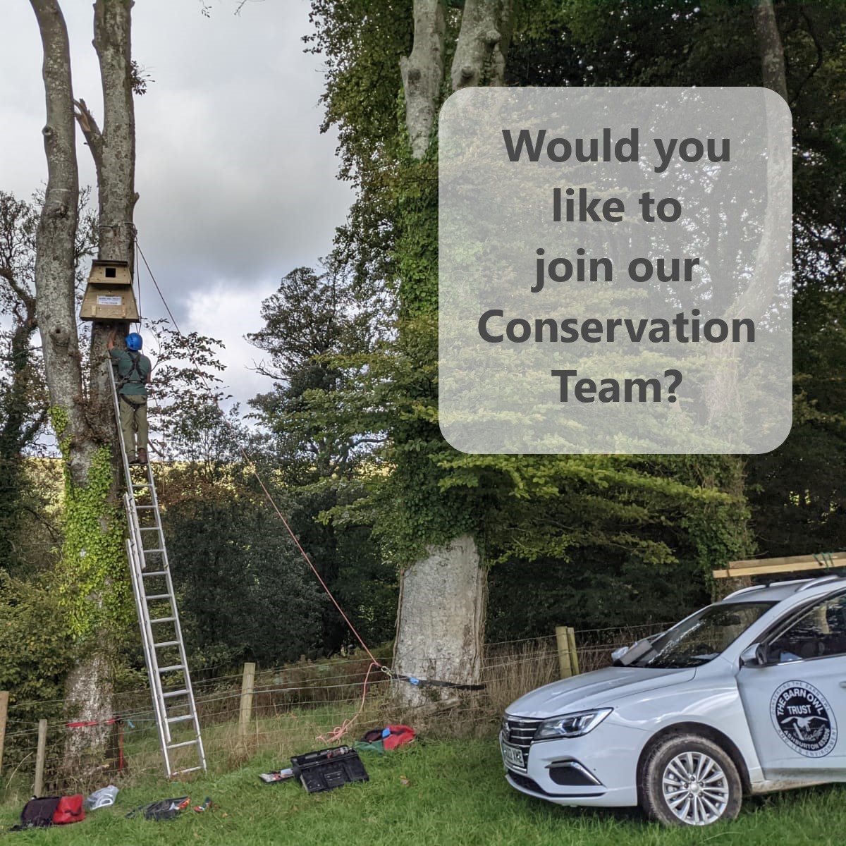 BarnOwlTrust's tweet photo. We will soon be advertising for two positions within our Conservation Team! If you are knowledgeable about wild birds &amp; think you have the passion, skills &amp; experience to help us conserve the Barn Owl &amp; its environment, get in touch! Send us an email to kaye@barnowltrust.org.uk. https://t.co/qqskt6G7Nf