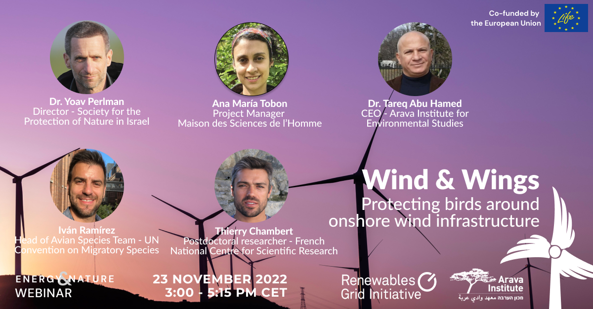 🚀 Happening now! Join🌱#EnergyAndNature experts sharing techniques to protect 🦅#birdlife along ⚡️#WindEnergy infrastructure.

🇮🇱🇫🇷🇺🇳 Get insights into sensitivity mapping, planning, deterrence systems, and collaboration to protect birds.

🦢Join here👇
renewables-grid.eu/activities/eve…