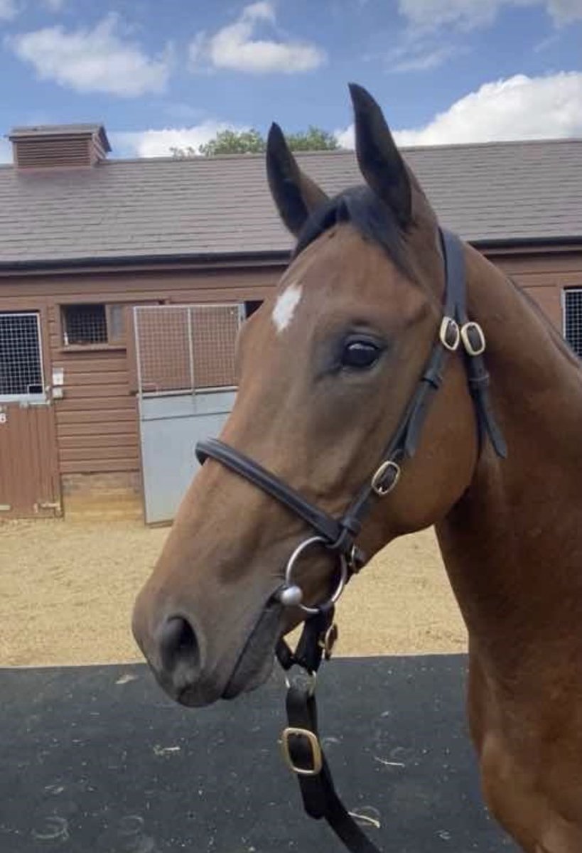 SBK Racing Club tweet media