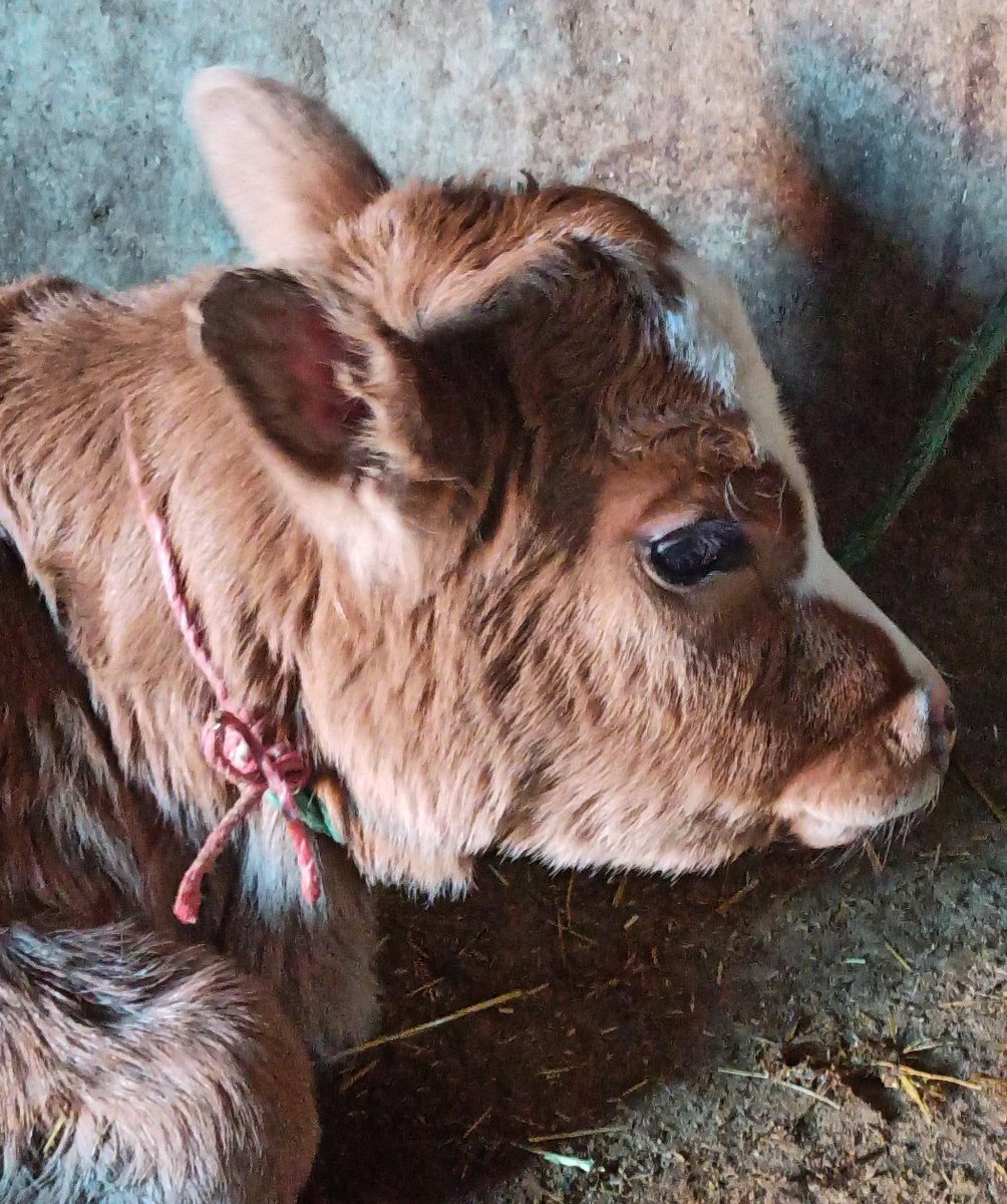 18.00'de mor odada...

Şimdi randevum var :)

#Erdoğandan100BinÖğretmen