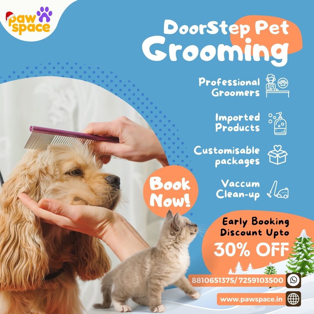 Pawspaceindia's tweet photo. Book Now to avail a Early Booking Discount Upto 30% on this Festival Season! 🥳
PAWSPACE ✅ provides a complete grooming session to your pet🐕🐈‍⬛ using imported products🍶 and sanitized equipments
DM or wtsapp us or
Just login📱 to https://t.co/zchOTjeovZ 📌and book your slot. https://t.co/0ou3hwdByM