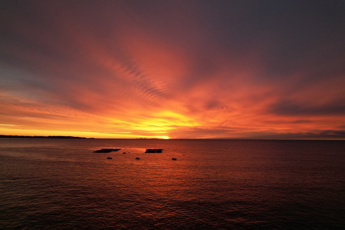 Cyril Charpin tweet media