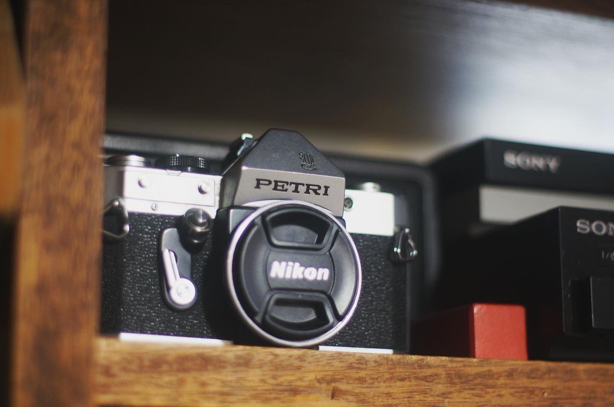 domisotaka68's tweet photo. #ブーゲンビリア #オールドレンズ #takumar50mmf14 #sonynex #petricamera https://t.co/a8UjzU8iRY