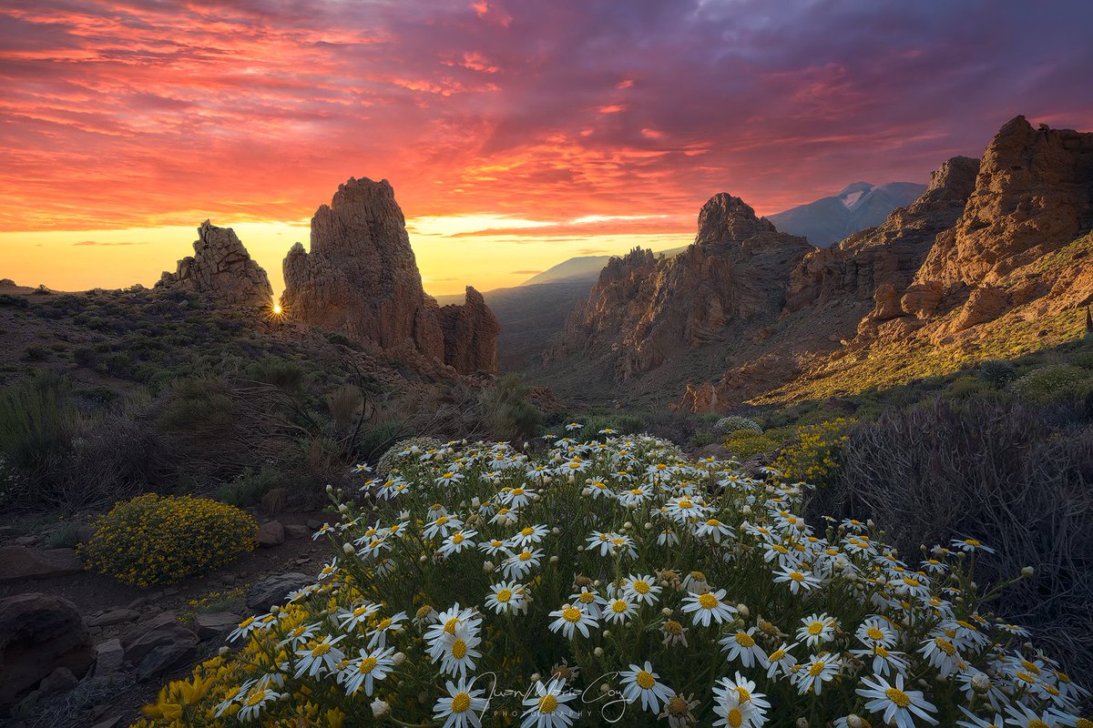 Atardece en la chimenea volcánica de La Catedral - Parque Nacional del Teide, Tenerife ( Islas Canarias, España) #tenerife #Teide #Canarias #margarita #sunset #atardecer #lacatedral #travel #adventure #photography #longexposure #landscape #nature #Sunlight  #volcanic