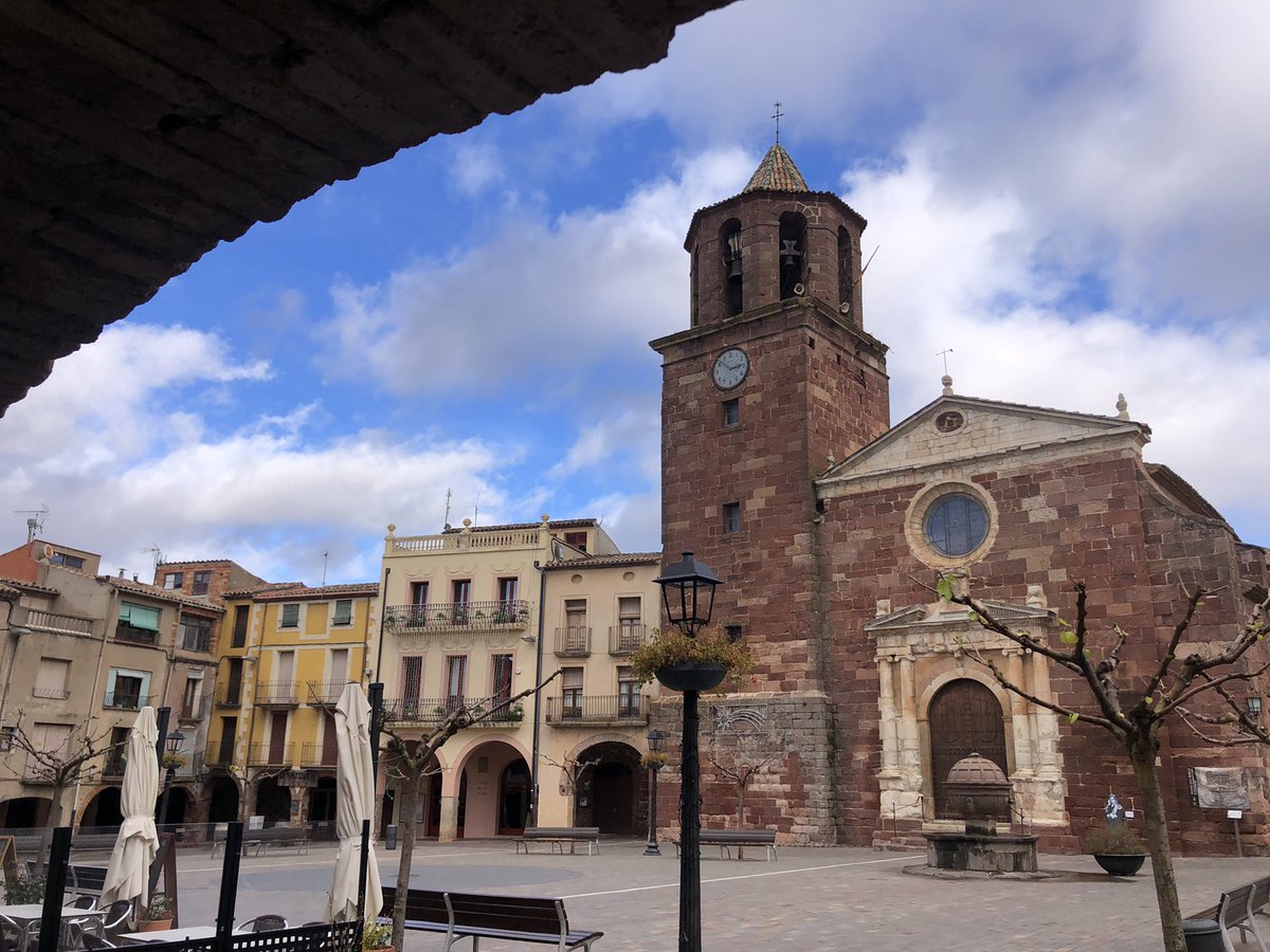 BeyondBCN's tweet photo. Sabíeu que les Muntanyes de #Prades hostatgen l'única població de roure reboll (Quercus pyrenaica) del país? De caràcter intermedi mediterrani/eurosiberià i que viu, sobretot, a Aquitània i nord i nord-est de la Península Ibèrica. Una altra joia botànica d'aquella terra bella. https://t.co/y53yW4KBuD