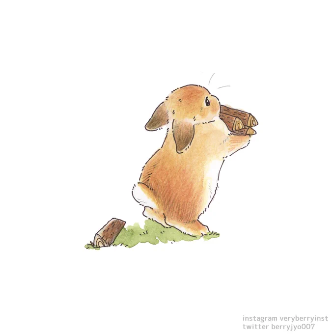 うさぎさんのキャンプあれ?さっきよりちょっと軽くなった気がする 