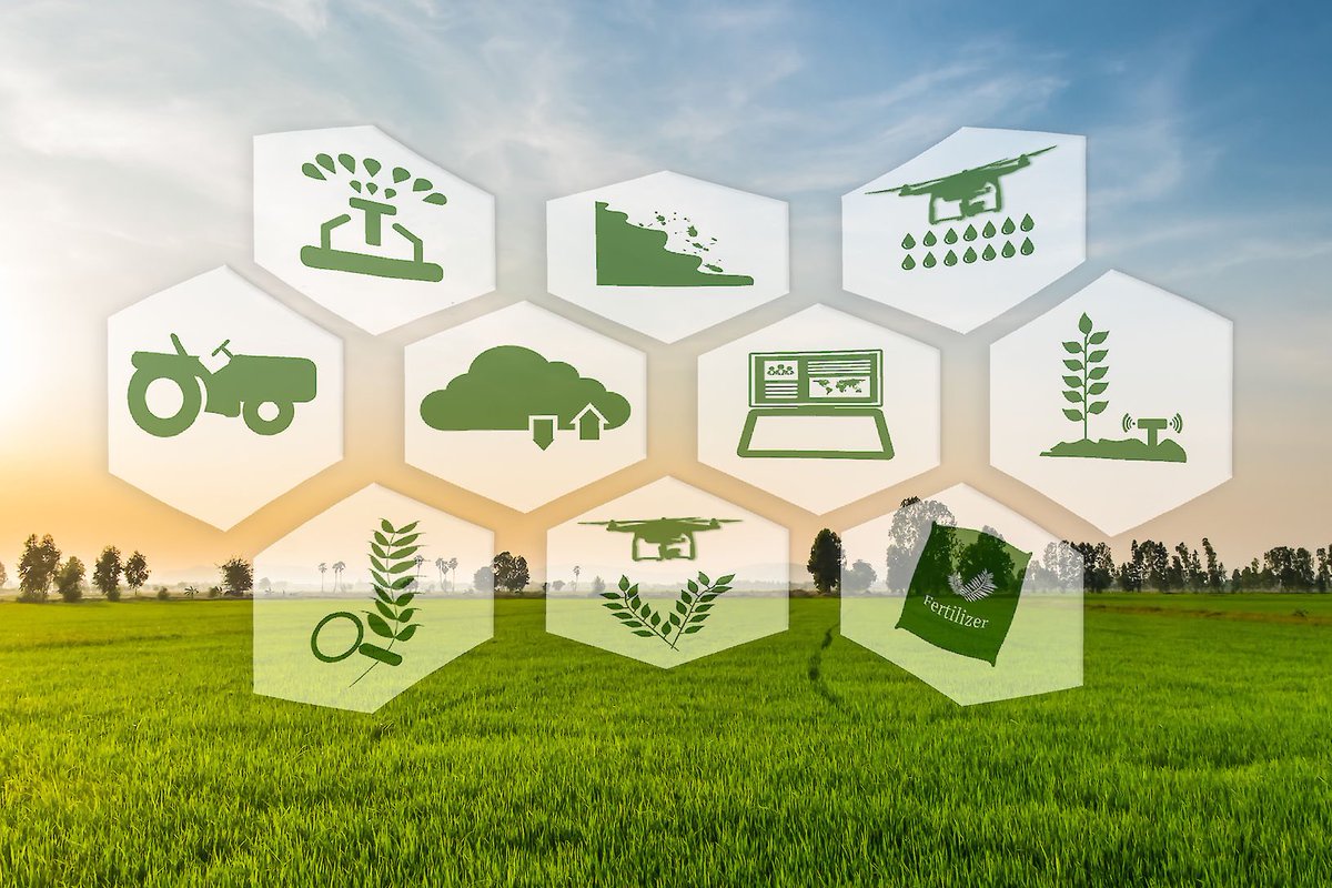 mkulimayoung's tweet photo. There are 5 key areas on #data4Ag
✔️Awareness – #data sharing, this needs capacity building.
✔️Trust- To conserve the data
✔️Control - Data ownership
✔️Voice - Empowerment of farmers for change in #valuechains
✔️Responsibility-protection of the data
#MkulimaYoung https://t.co/kc37zpGZes