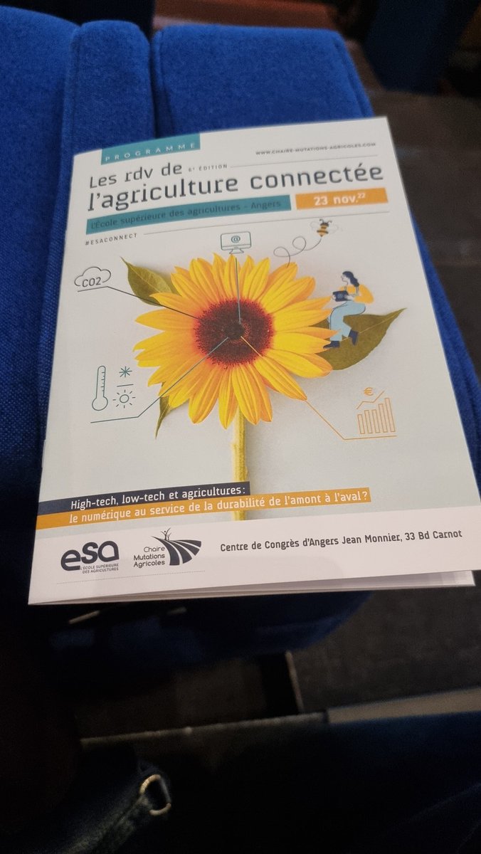 SIVAL_ANGERS tweet media