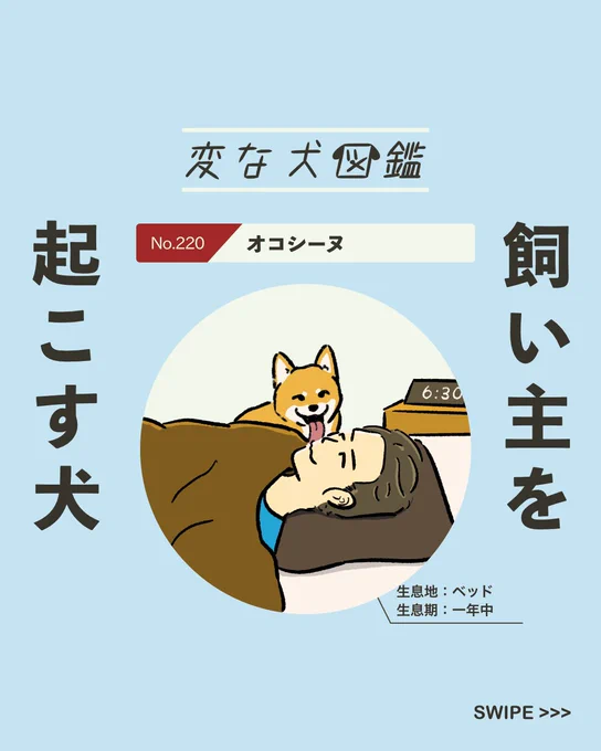 【#変な犬図鑑】
No.220 オコシーヌ
飼い主を起こしにくるあの犬です。 