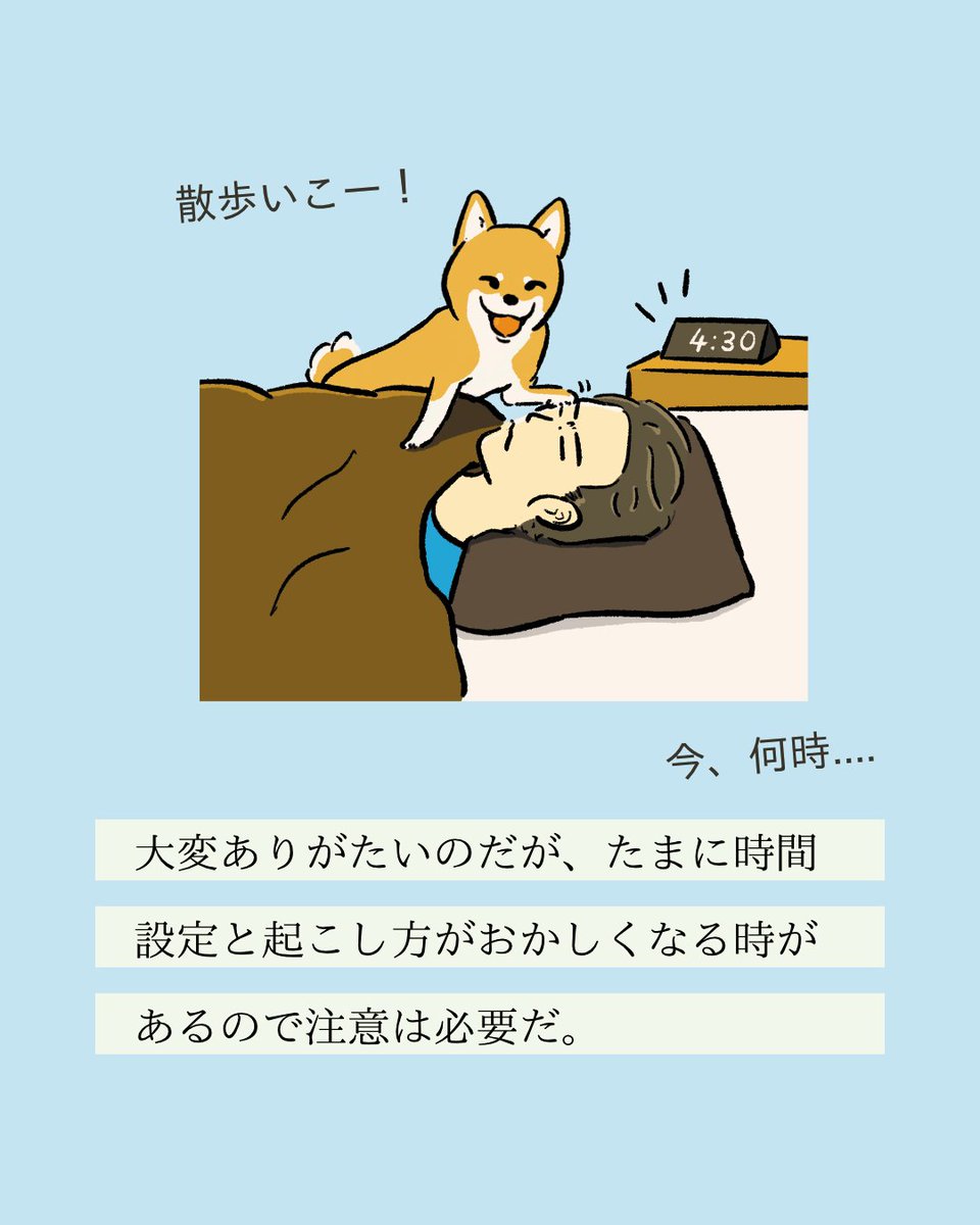 【#変な犬図鑑】
No.220 オコシーヌ
飼い主を起こしにくるあの犬です。 