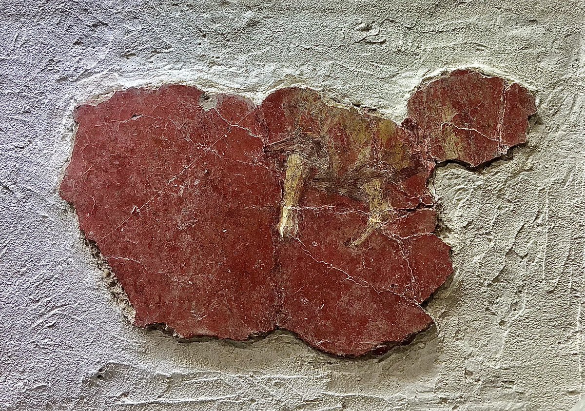 CRomanMuseum's tweet photo. ๐ Look closely at this fragment and youโll see the feet of a #Roman #dancer with swirling skirt, and some intricate flower designs.
๐งฉ These are just a few of over 5000 wall plaster fragments excavated in Canterbury in the early 1980s.
2/2
#RomanMuseum #RomanArt #Archaeology https://t.co/9L6AjAgvWf