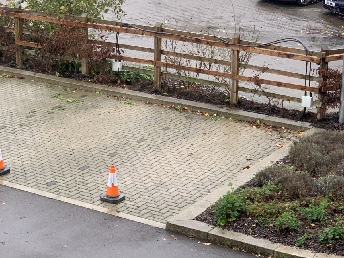 Frances Wright tweet media