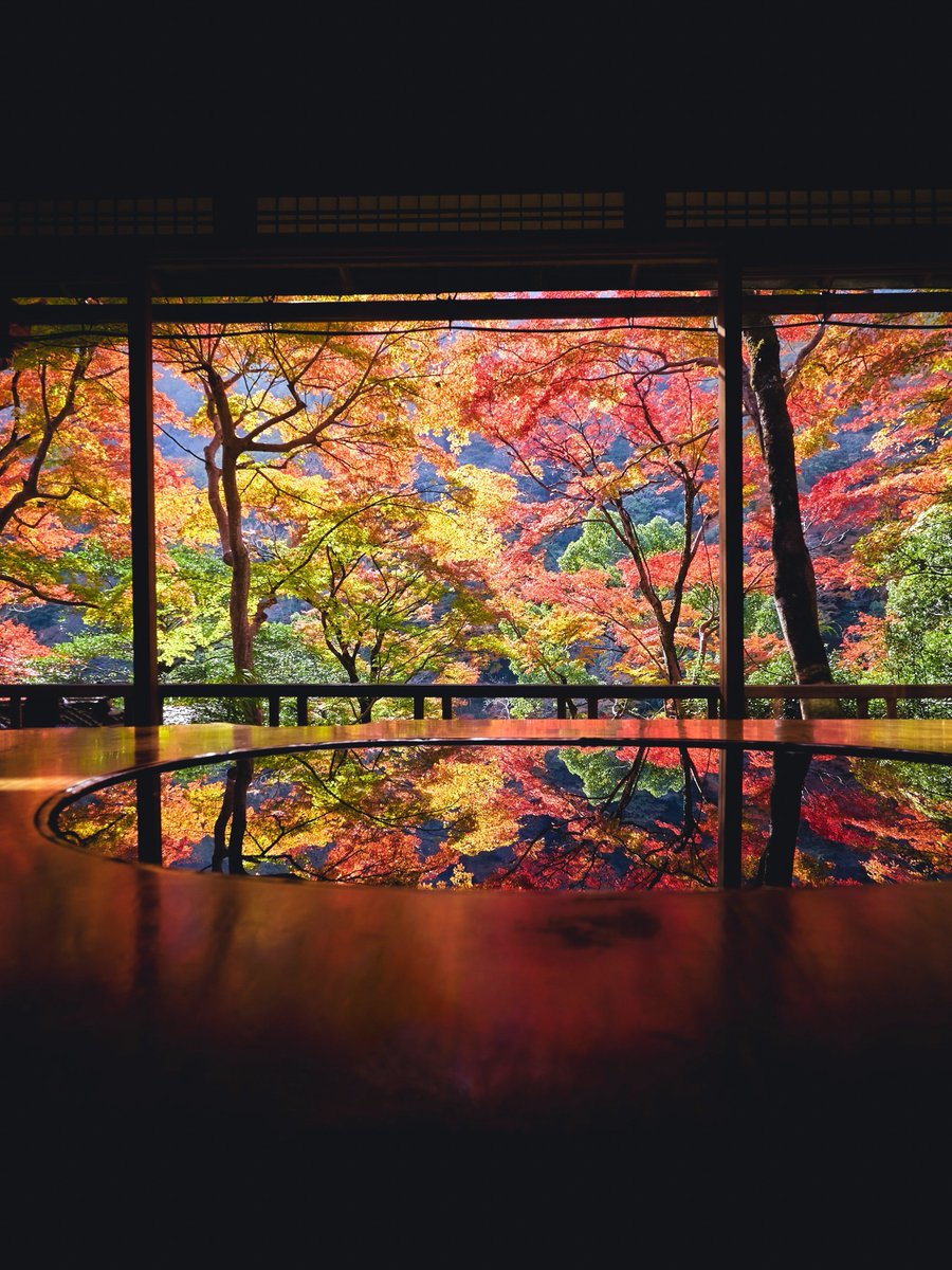 3m1ek's tweet photo. 絵画のような庭を見た https://t.co/IVdz4Ga0XA