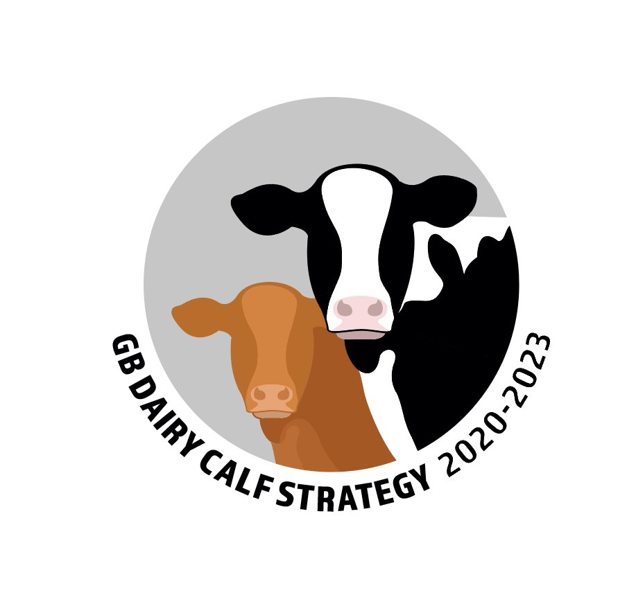 Today is the final day of #GBCalfWeek and 3 events are taking place which include a panel discussion from 09:15–10:45 focusing on Dairy-beef: the past, present and future at <a href="/TotalDairy/">TotalDairy</a> 2022. Find out more at ahdb.org.uk/gb-calf-week-22 #GBCalfWeek #FarmGreen
