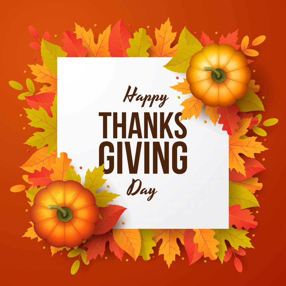 comforthandsgh's tweet photo. How Care Facilities Celebrate Thanksgiving

Turkey, roast potatoes, and gravy are typical Thanksgiving fare in care facilities. 

Read more:
https://t.co/10daAIKTBi

#ColumbusOH #DevelopmentalDisabilityCare #Thanksgiving https://t.co/w9LxSTSPYV
