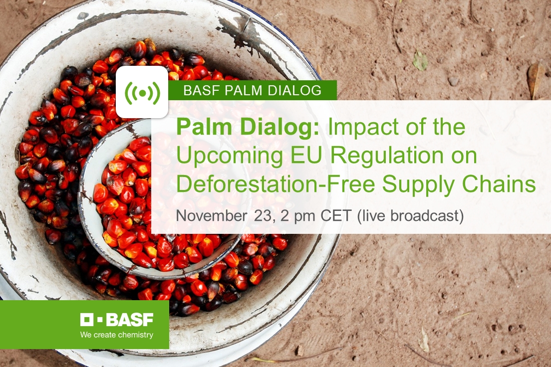 BASF Palm Dialog 2022