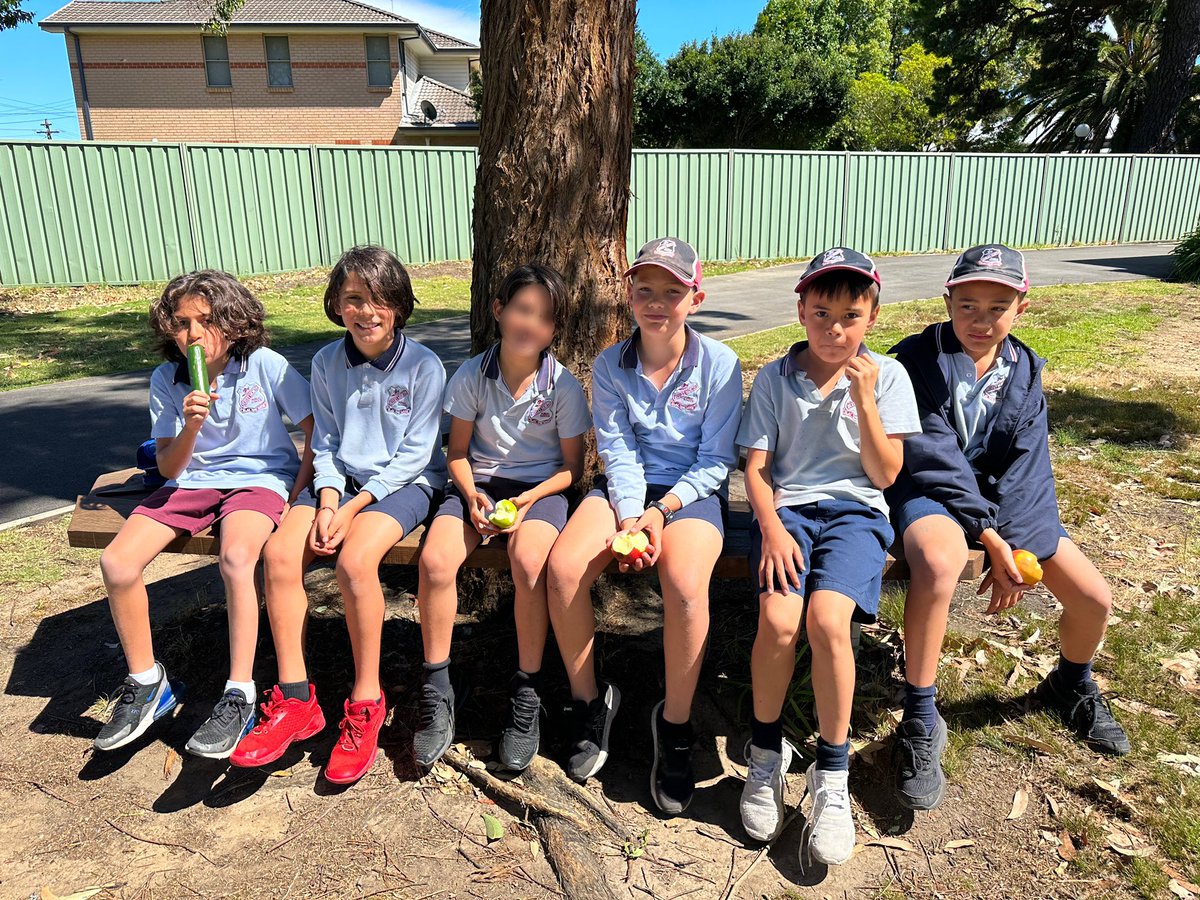 MissGolds_'s tweet photo. 3G soaking up some vitamin D whilst eating our crunch ‘n’ sip this morning 🍎 🍐 🍊 🍓 https://t.co/0dUuvkAGwK