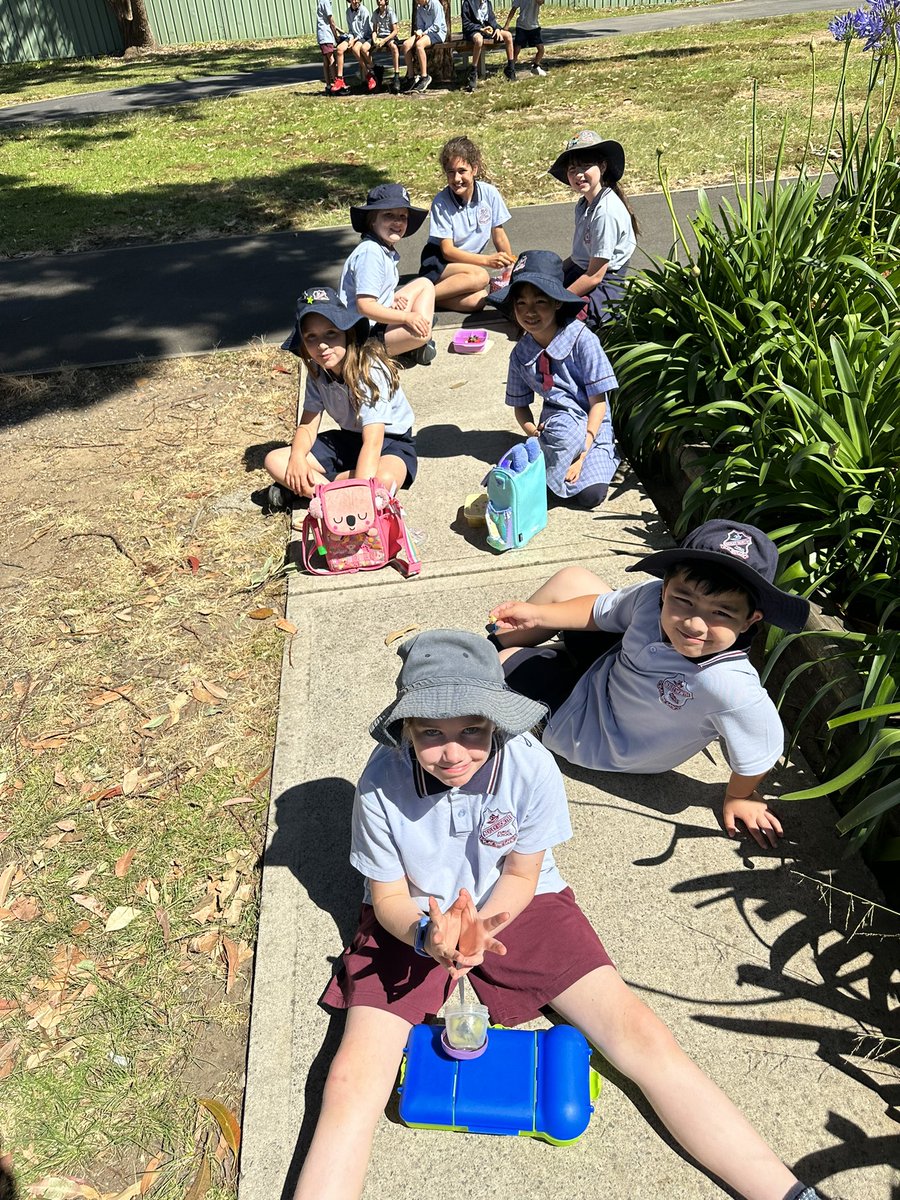 MissGolds_'s tweet photo. 3G soaking up some vitamin D whilst eating our crunch ‘n’ sip this morning 🍎 🍐 🍊 🍓 https://t.co/0dUuvkAGwK