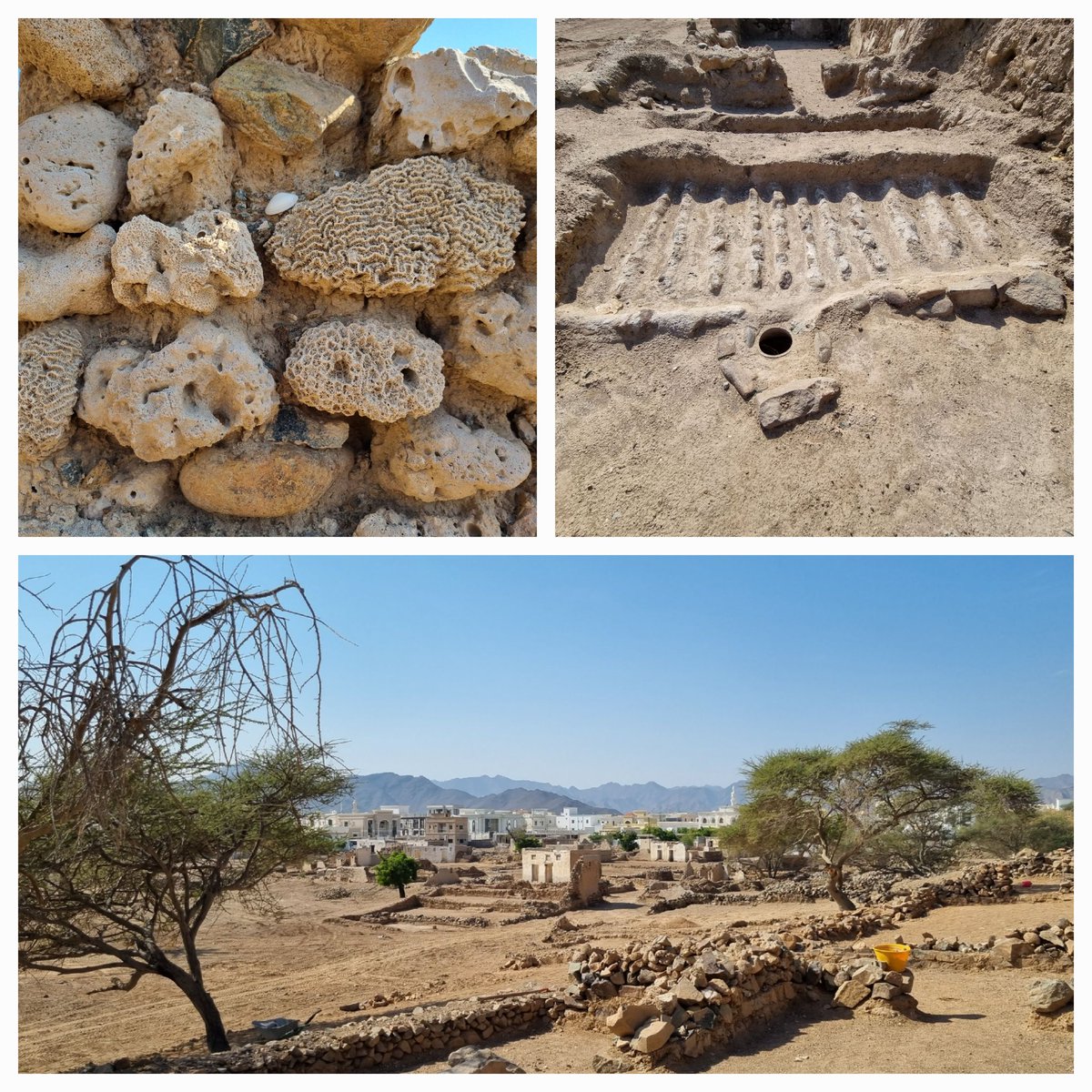 BarbaraHorejs's tweet photo. Learning about structures &amp; organisation of the 19th century pearldivers village #Zubara #UAE @ShjArchaeology incl date-processing installation &amp; corals as building materials. Cool #archaeology @oeai_oeaw @oeaw @FelixOstmann https://t.co/90SorMMjt4