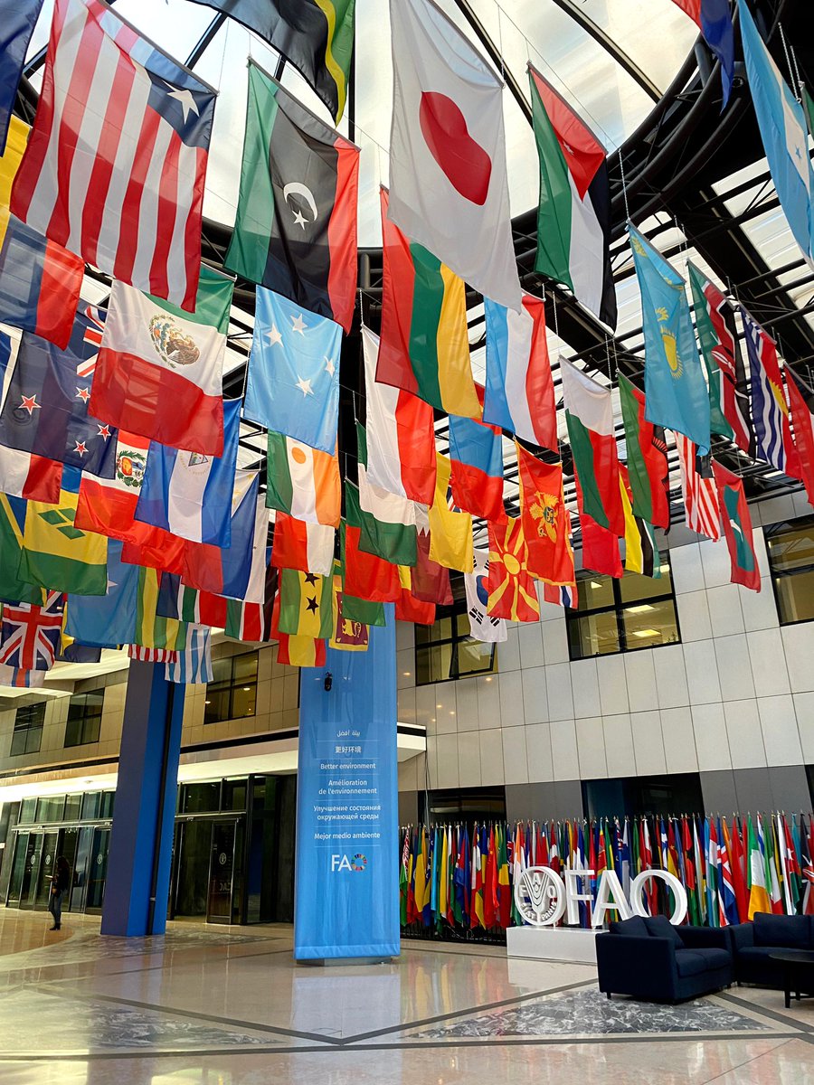 ISDI_org's tweet photo. #CAC45 meeting of @FAOWHOCodex in ๐ #Rome
We are proud to have contributed to the development of #RUTF. ISDI looks forward to help manufacturers implement the Guidelines. ๐ช https://t.co/7dxWk67Jf5