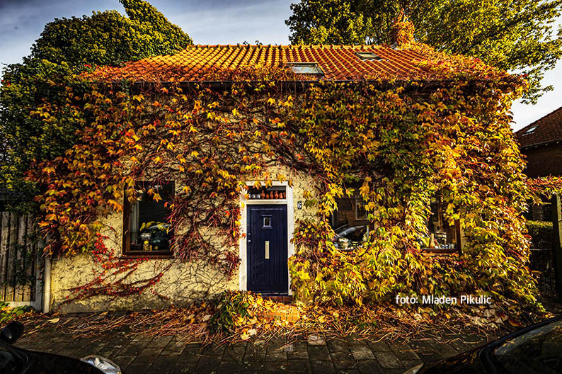 Het sprookjeshuis
Het fotoproject Mooi Ridderkerk gaat voor het tweede jaar door, nog mooier.
<a href="/gem_Ridderkerk/">Gemeente Ridderkerk</a>  
#fotografie #fotograaf #natuur #natuurfotografie #milieu #stadsfotografie #monumenten #omgeving