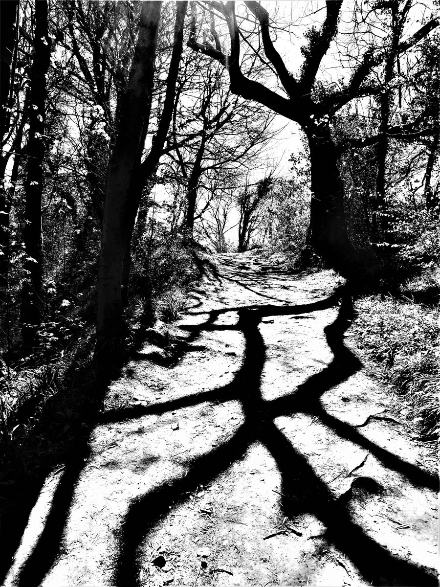 Howard Colyer tweet media