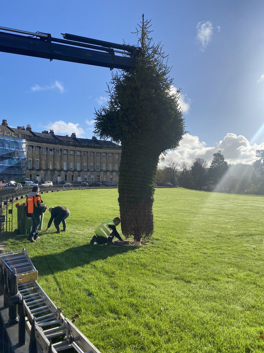 thercsbath's tweet image. 🎄And it’s up!🎄
Now all we need are some resident volunteers to help with the tricky job of hanging the lights