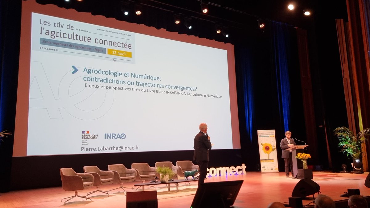 SIVAL_ANGERS tweet media