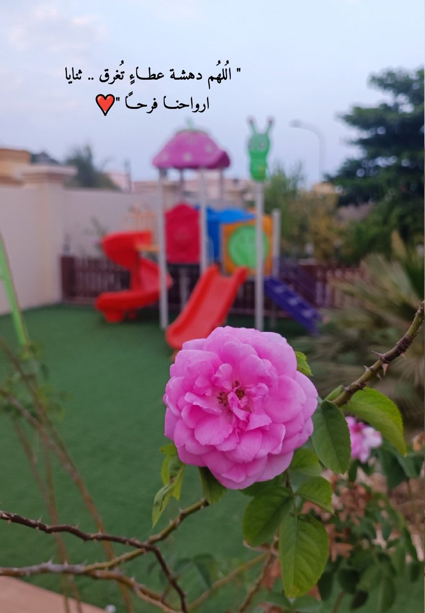 اللهّمّ أقسِم لنا فى هذا الصباح من الخير ما يُرضى أنفسنا ويُرضِيك عنّا.💜

 #صباح_الخير_والسعاده 🌷
