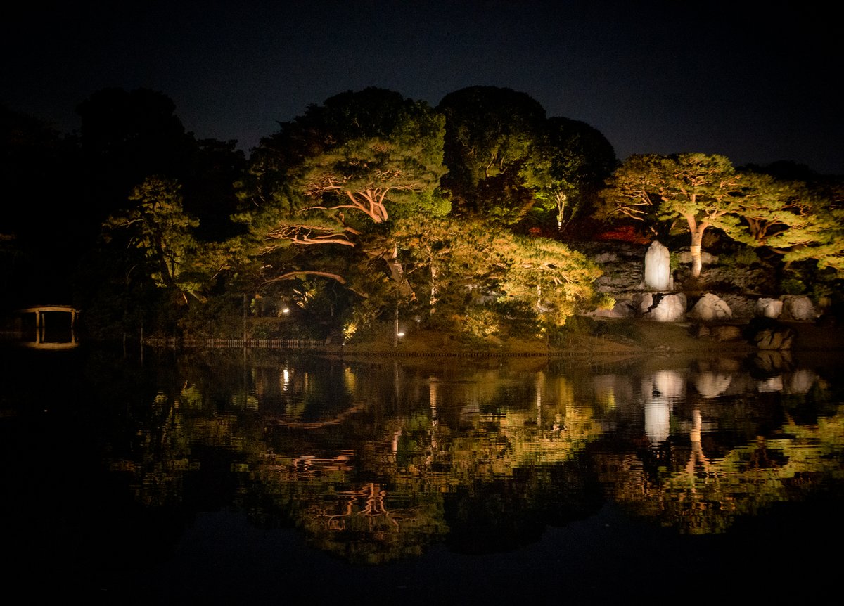 citycostjapan's tweet photo. Tokyo's beautiful Rikugien Gardens opened for special nighttime viewing event from Wednesday, first time in 3 years.
▶️ https://t.co/OjV3IunVVg
#gardens #tokyoevents #六義園 https://t.co/RiR8PSu2Ko