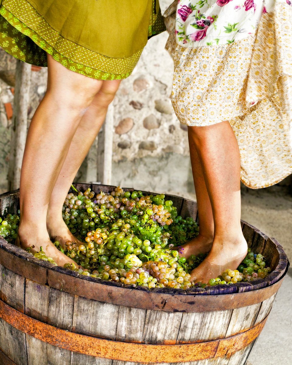 irenedfalcone's tweet photo. I was once an obsessive wine collector and the best part of this new wave of #zeroalcohol wines @sansdrinks is I can still appreciate what I am drinking &amp; the iconic wine regions they come from. 

https://t.co/4pMZeV1hj8

#nonalcoholicwine #australianwines #australianwineregions https://t.co/yzlvJ3pH3G