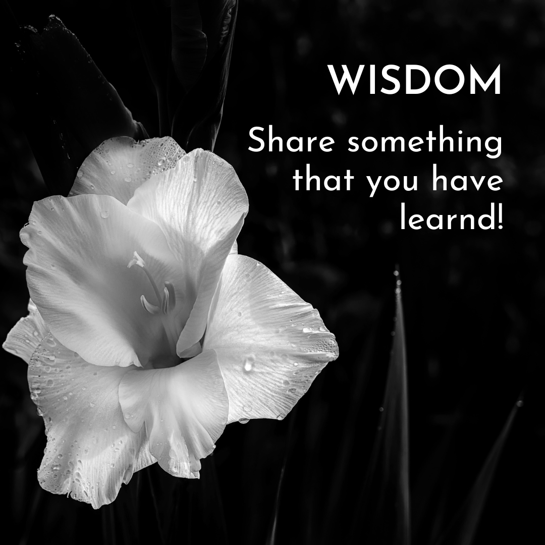 osamartialarts's tweet image. #Wednesdaywisdom:  Wisdom from Master Sout!  What are your thoughts?  #osafamily #masterinstructor #master #wisdom