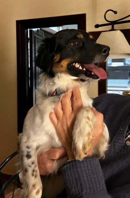 Eveperez67's tweet image. Encontrada en la zona de Hipercor @Twitter haz tu magia!! @PoliciaGr