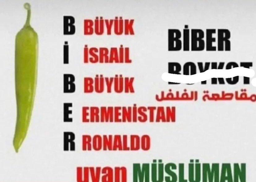 ArdaDurden31's tweet photo. @onur_whatever @bgyether Ben Araplarla iş birliği yapan adamı desteklemem aga https://t.co/mKq1qKSNbk