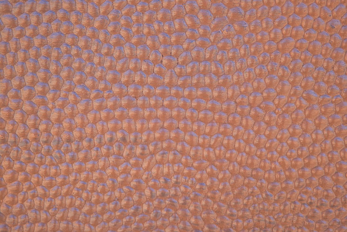 Pete_PBphoto's tweet photo. Some very random shots walking around our village in Turkey #Abstract #abstractconcept @taylor_cinthia5 @SsajadHH @jgrnstn @deprofundis981 @AP_Magazine @FujifilmUK @AkikoFujita @FujifilmX_US @Fujitsu_Global https://t.co/BphZWNGtjf