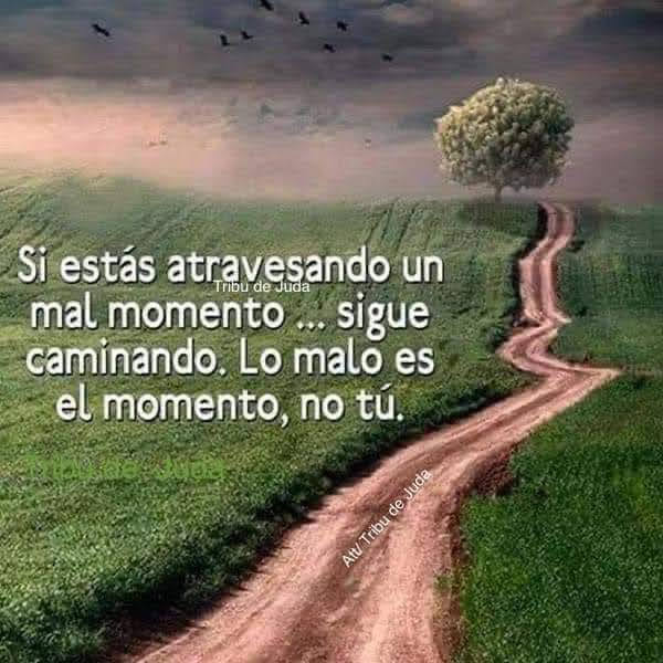 VidaEquilibrad4's tweet photo. https://t.co/LxhUb9GiXG